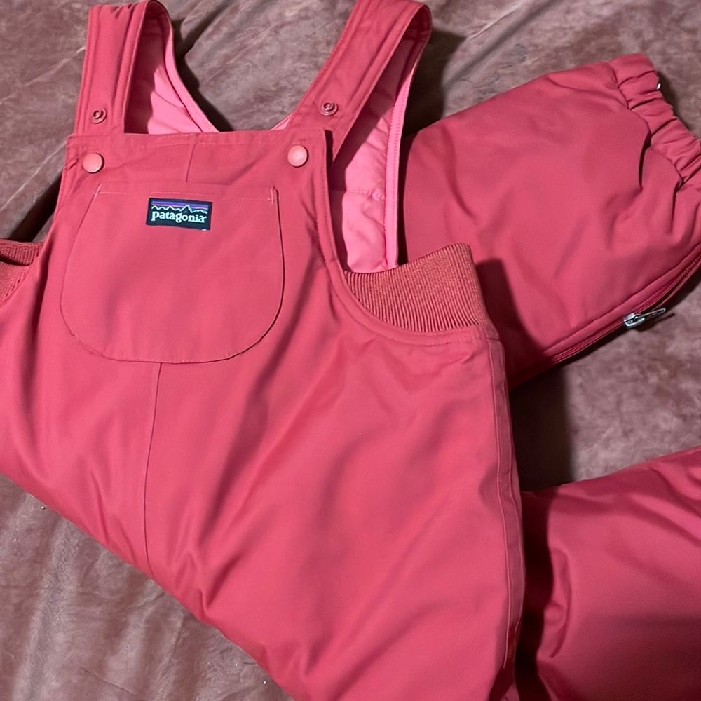 Most perfect snow bib overalls Patagonia